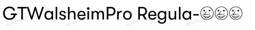 GTWalsheimPro Regula字体转换 GTWalsheimPro Regula字体转换
